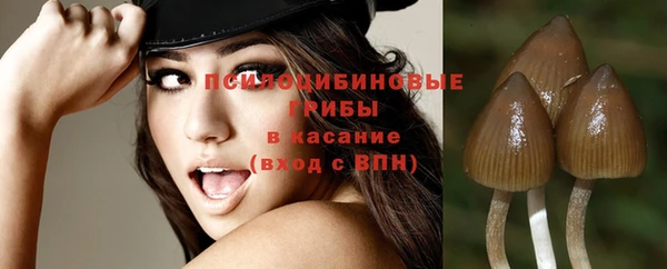 spice Белоозёрский