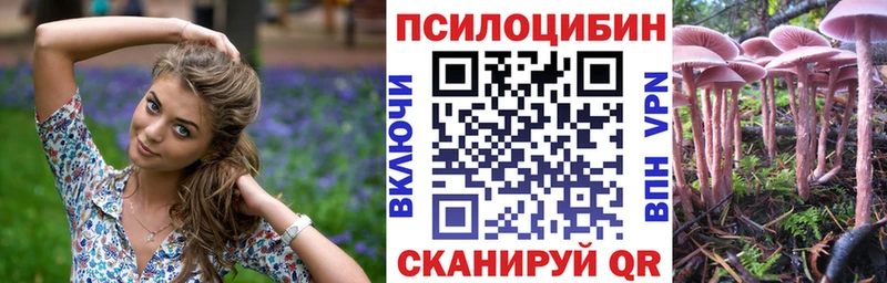 Галлюциногенные грибы Psilocybine cubensis  Кыштым 