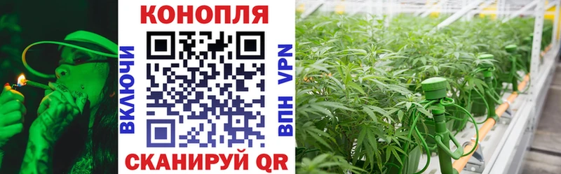 это формула  как найти закладки  Кыштым  Шишки марихуана ГИДРОПОН 